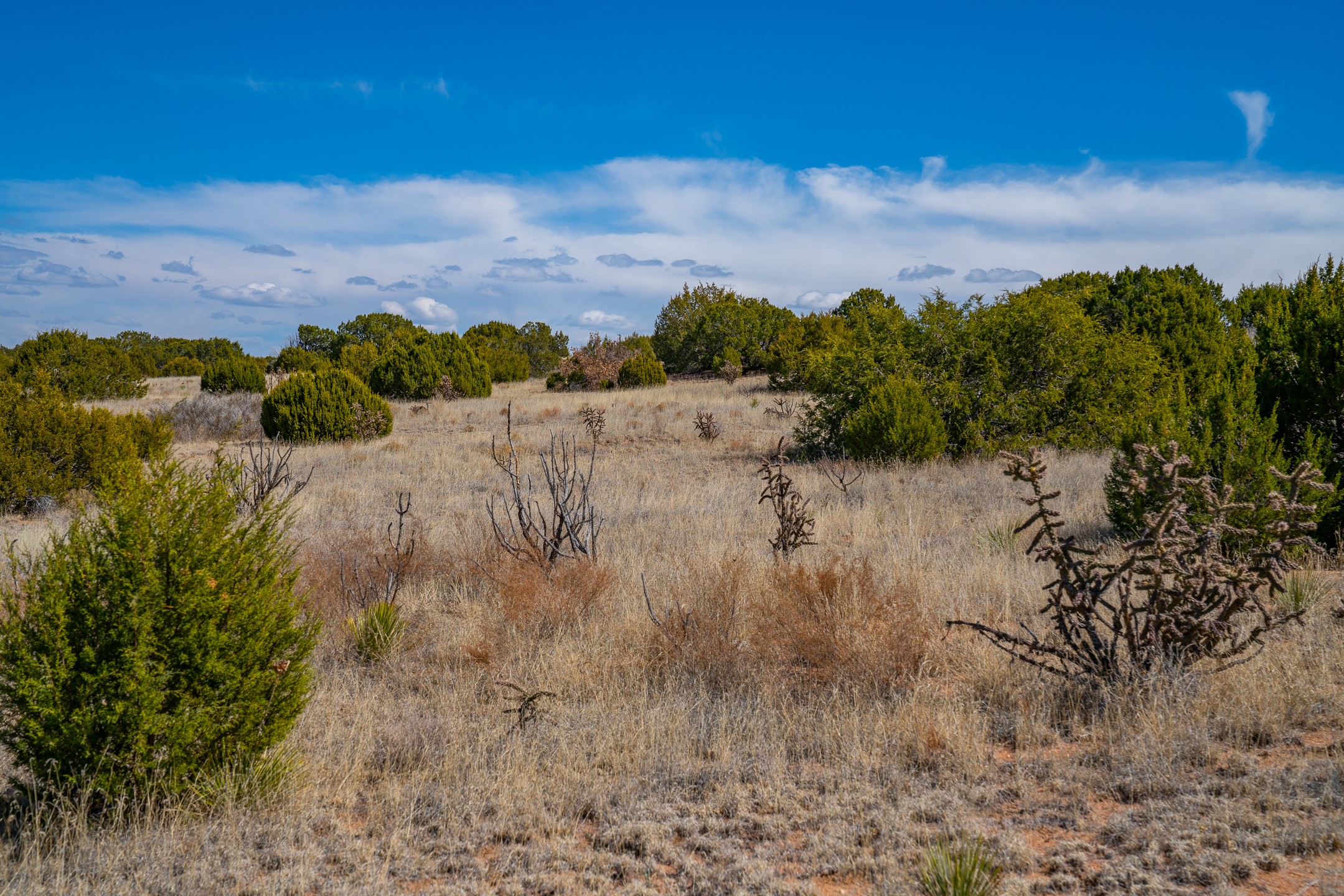 63 Crazy Rabbit Drive Santa Fe, NM 87508 - Photo 21 of 21