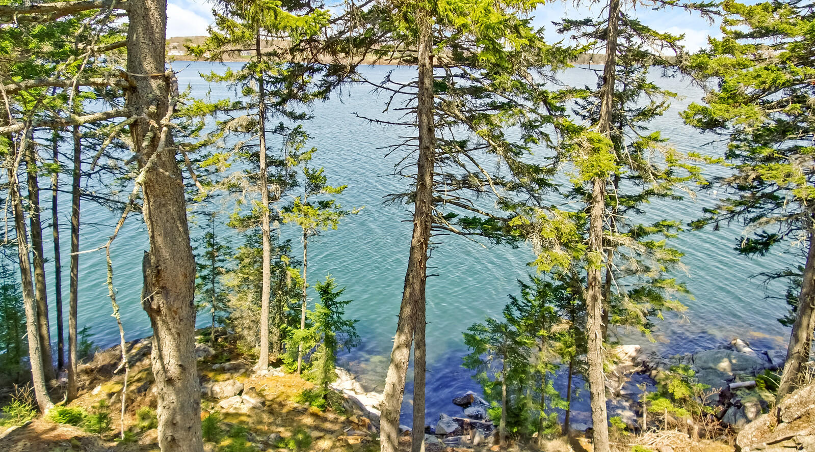 231 Otis Point Road Tenants Harbor, ME 04860 - Photo 39 of 47 231 Otis - Water View 2