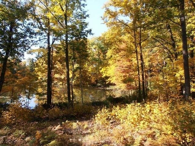 5287 Loop Heights Rhinelander, WI 54501 - Photo 12 of 16 Gallery Image 12