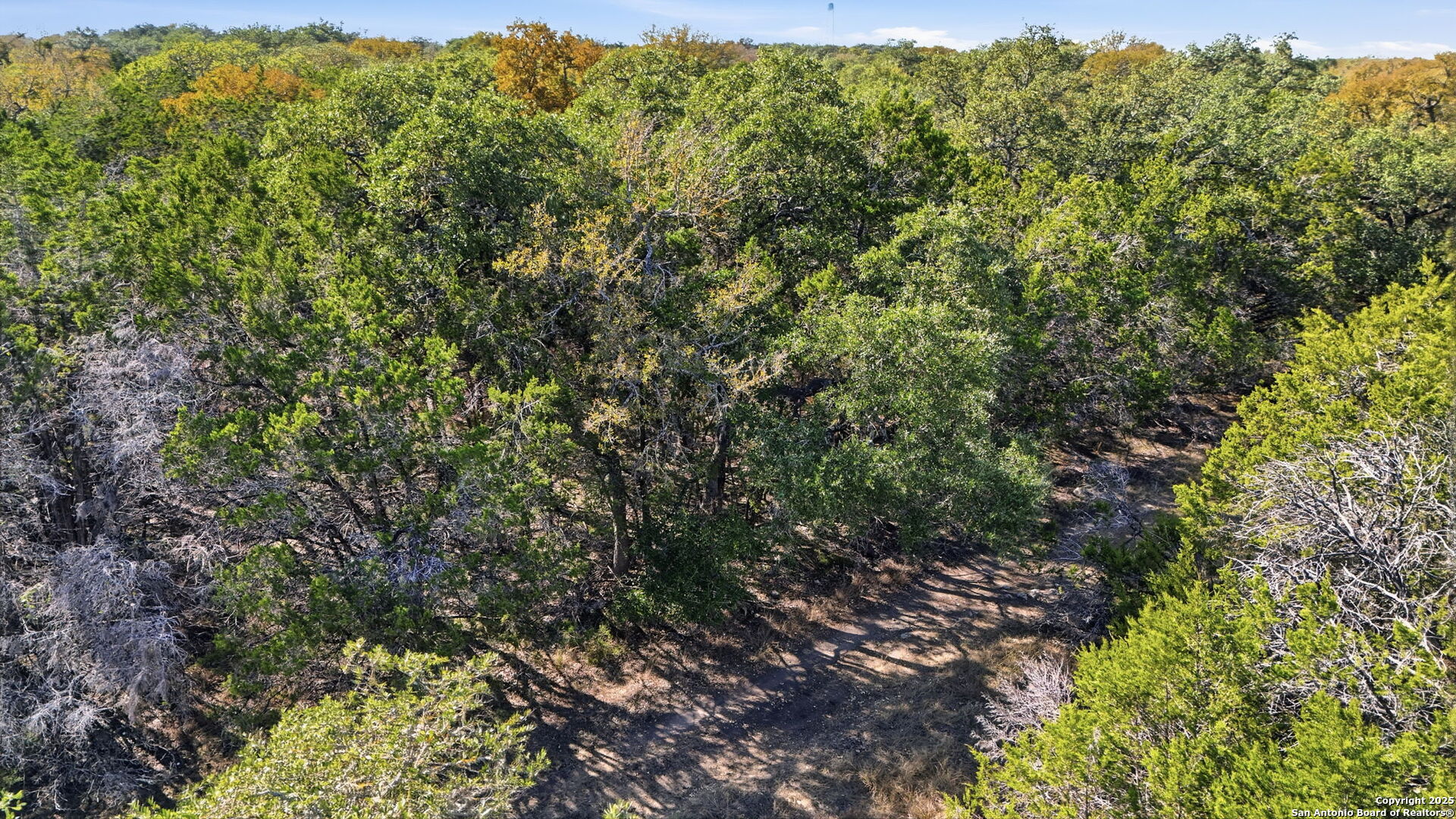 190 North Contour Drive Spring Branch, TX 78070 - Photo 4 of 8 a view of a large yard with lots of bushes