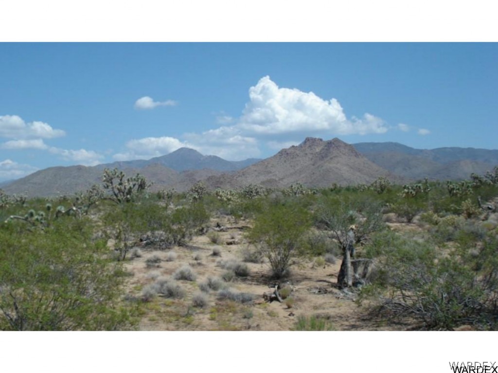 236 South Cattle Kate Road Yucca, AZ 86438 - Photo 1 of 1 Gallery Image 1