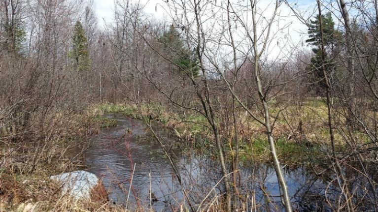 North Amber Road Manistee, MI 49660 - Photo 2 of 4 Additional Photo
