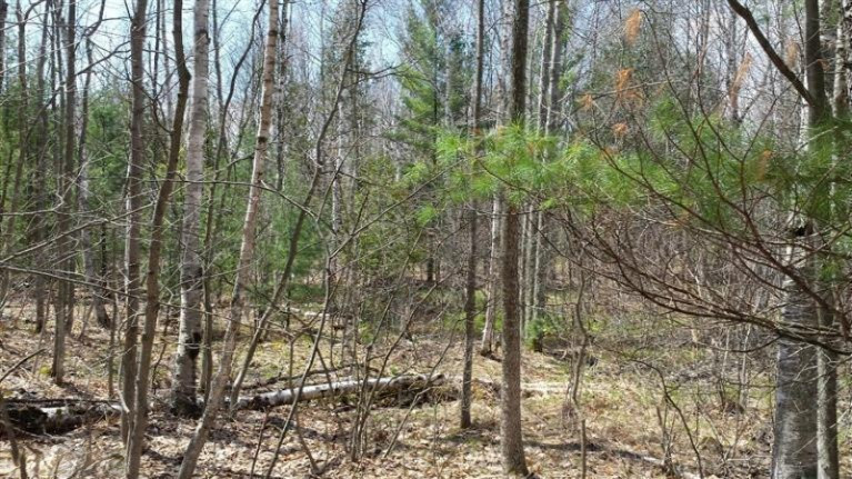 North Amber Road Manistee, MI 49660 - Photo 3 of 4 Additional Photo
