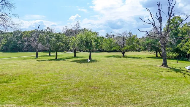 a view of an ocean yard and a large tree