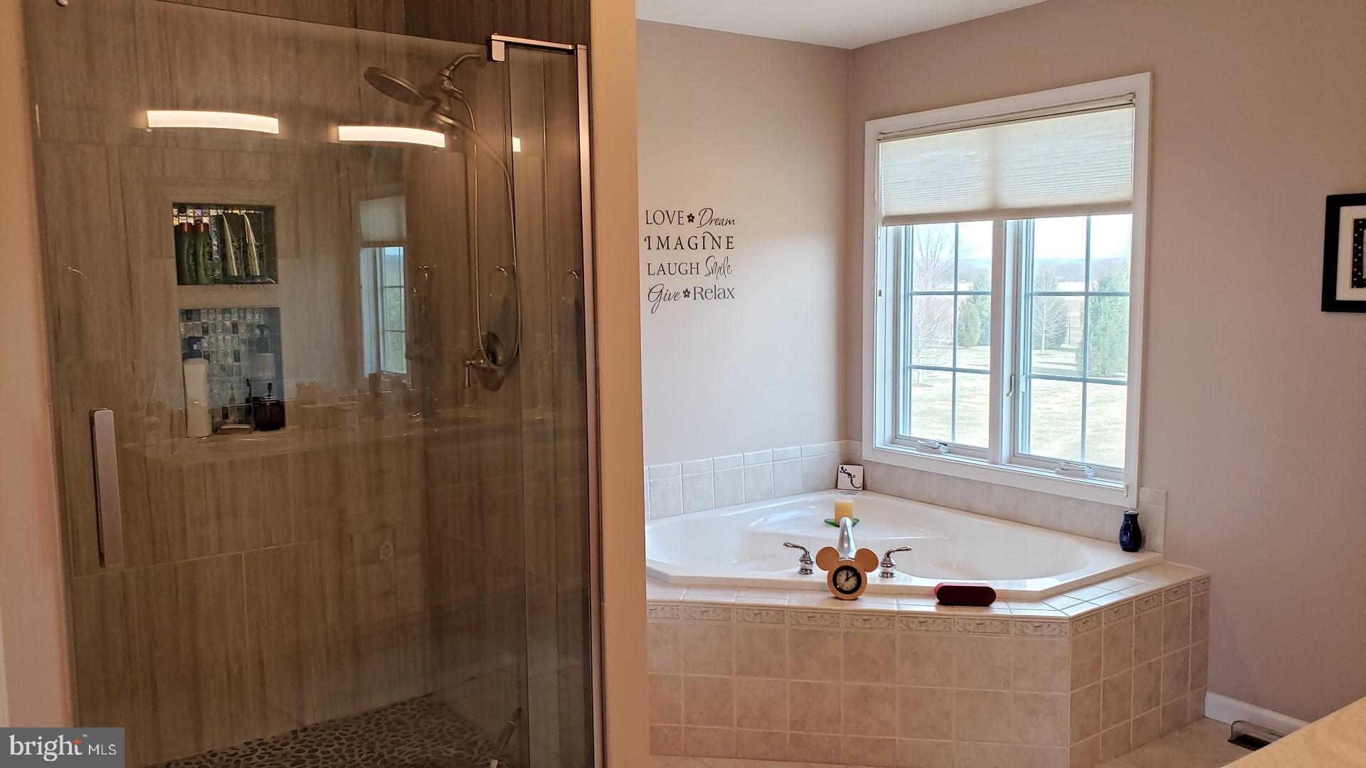 375 South Middlesex Road Carlisle, PA 17015 - Photo 28 of 49 Custom tile shower plus a soaking tub!