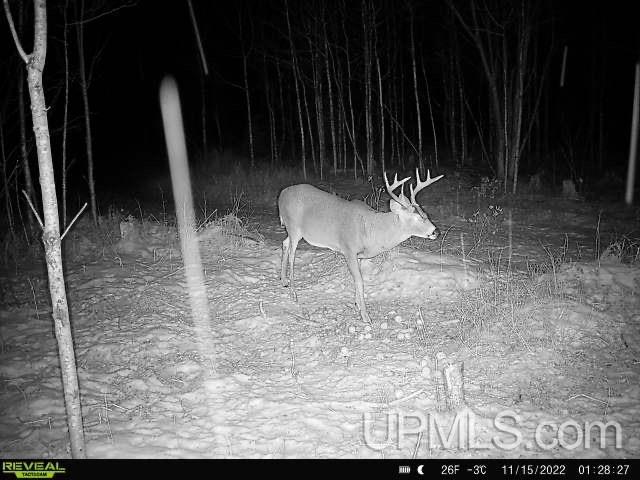 6072 Big Lick Lake Road Ishpeming, MI 49849 - Photo 45 of 90