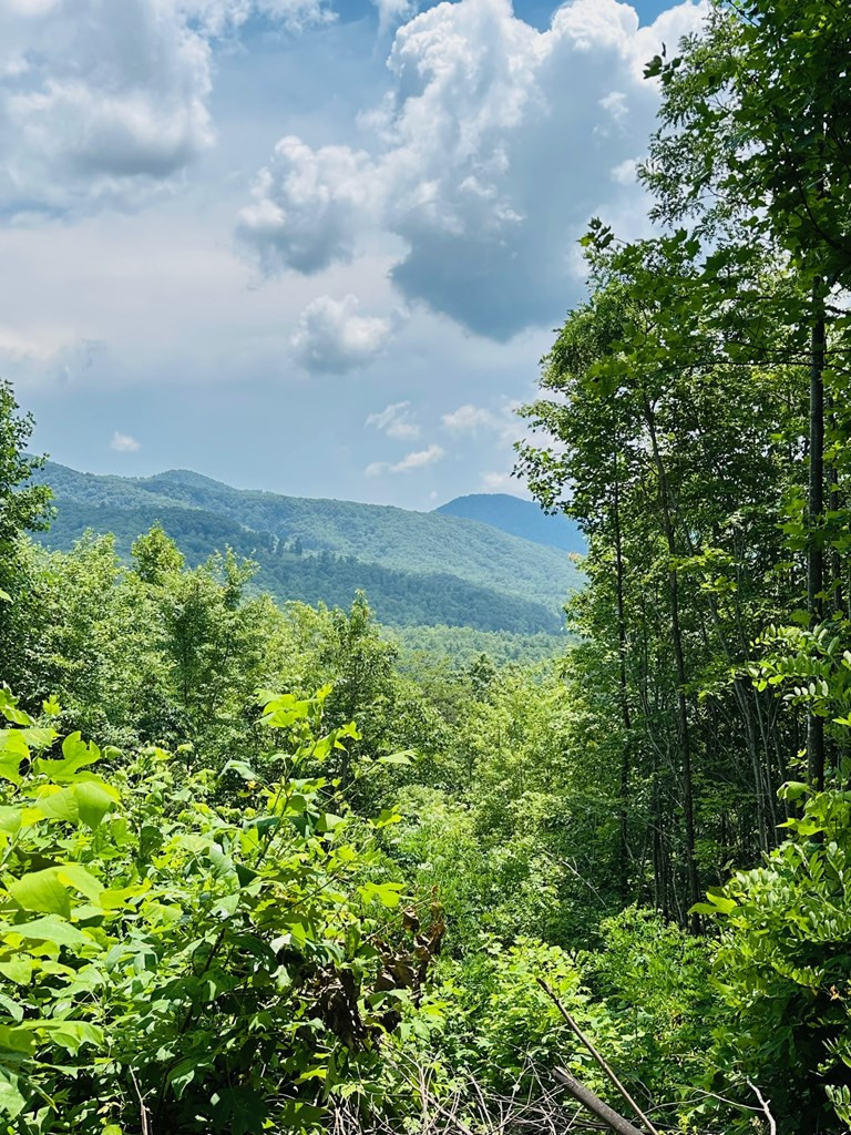 Lot 13 View Ridge Trail Murphy, NC 28906 - Photo 2 of 11
