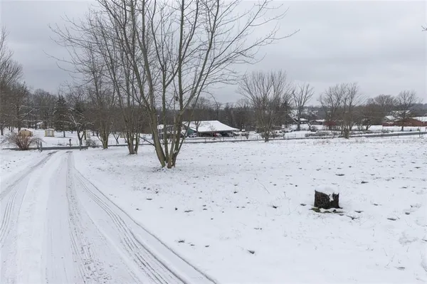 a view of a yard covered in snow