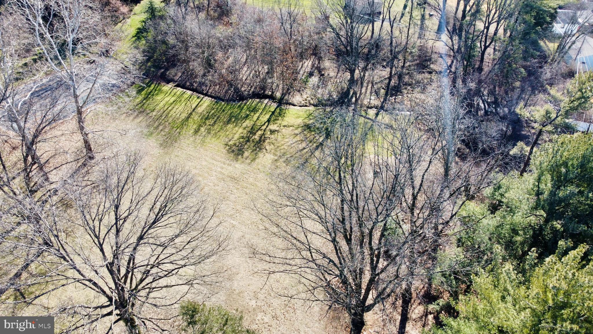 299 West Valley Forge Road King of Prussia, PA 19406 - Photo 4 of 9 a view of a tree in a yard