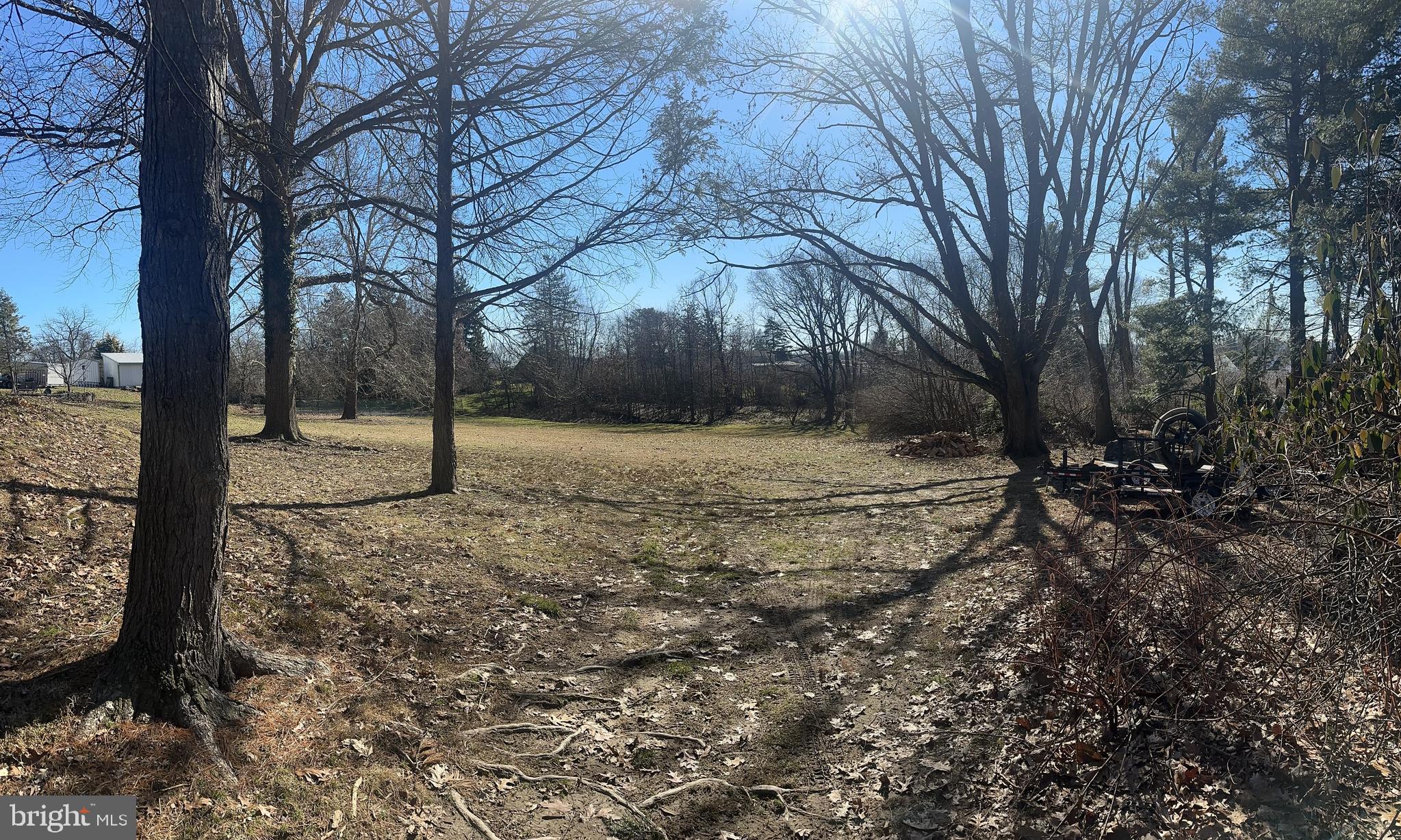 299 West Valley Forge Road King of Prussia, PA 19406 - Photo 6 of 9 a view of a yard with a tree
