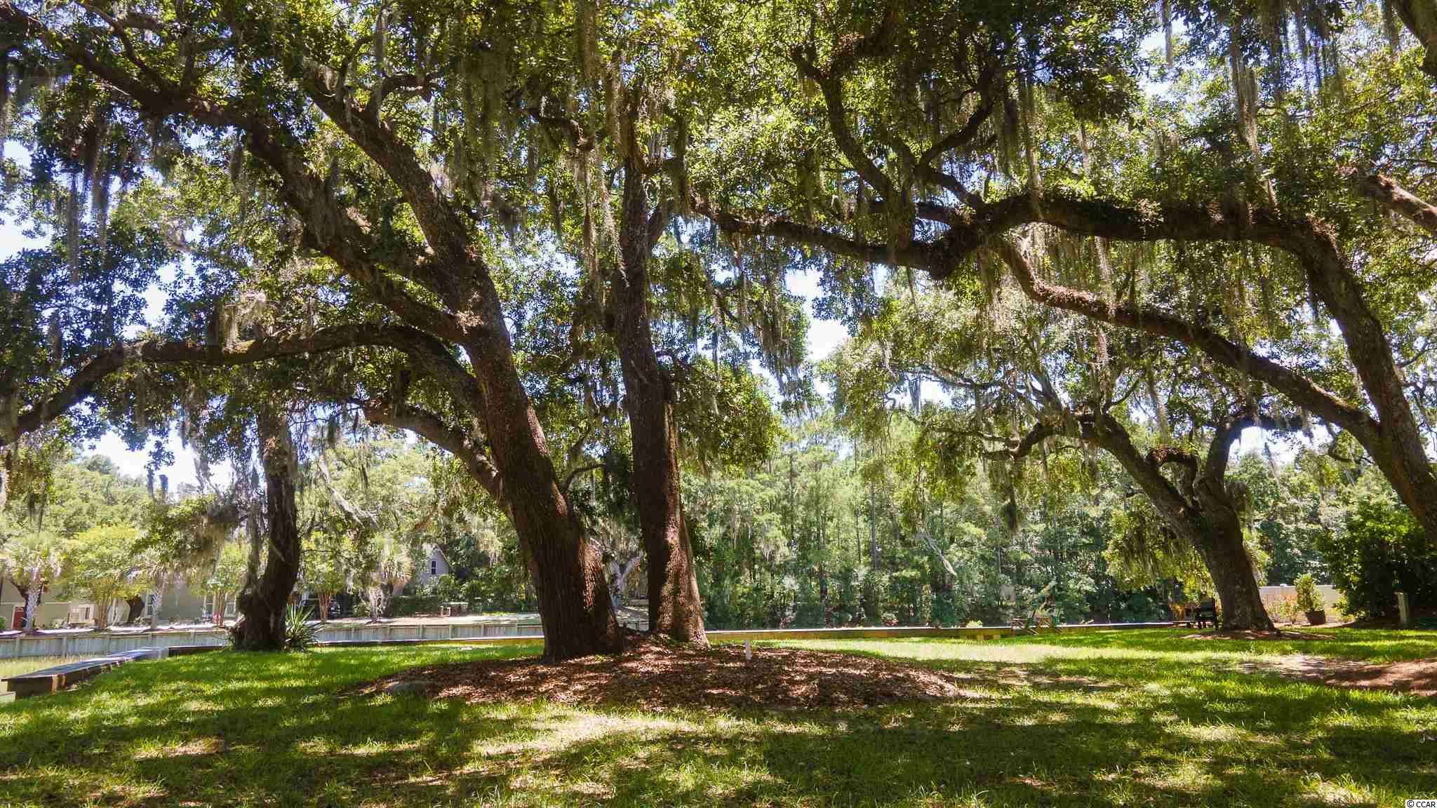 13 Flaggpoint Lane Murrells Inlet, SC 29576 - Photo 11 of 34