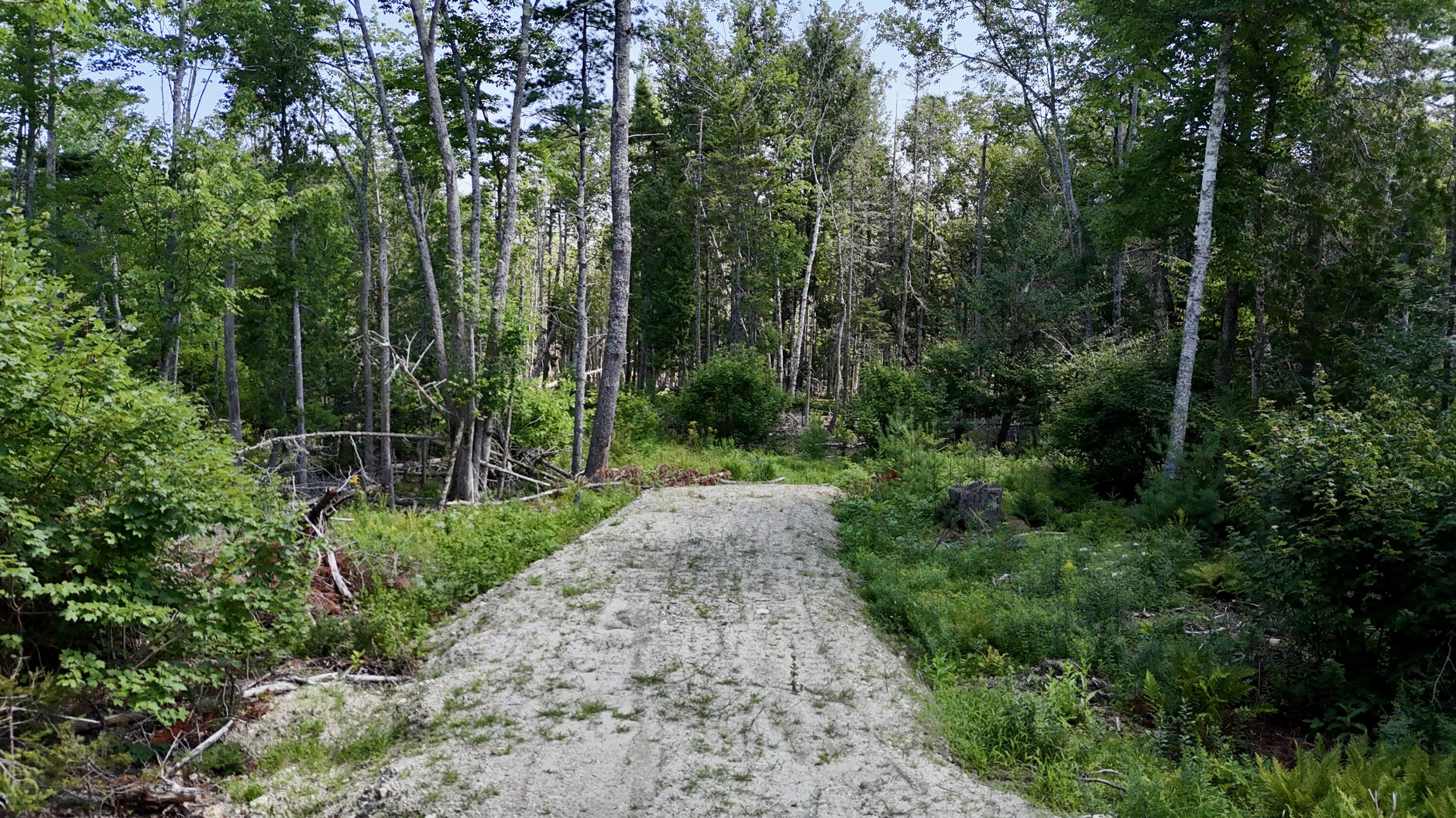 M08-l044-d Flye Point Road Brooklin, ME 04616 - Photo 1 of 7 dji_fly_20260812_112356_0276_17865484537