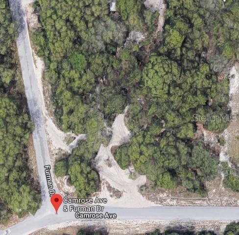 Camrose Ave Spring Hill Spring Hill, FL 34610 - Photo 1 of 1 a picture of a yard with a tree