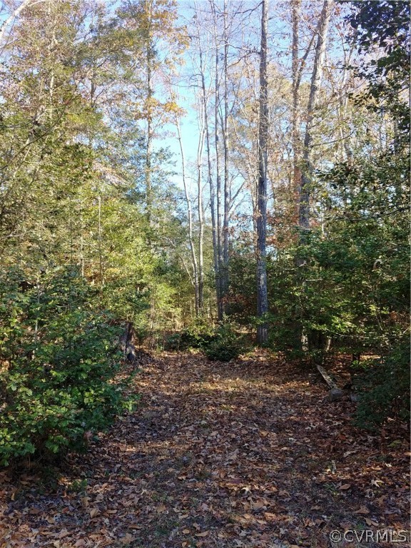 21954 King William Road West Point, VA 23181 - Photo 31 of 35 Gallery Image 31