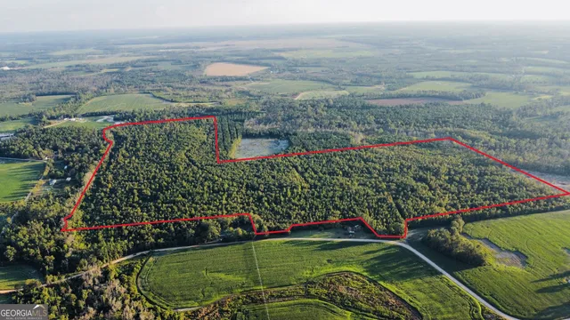 a view of a garden with flowers