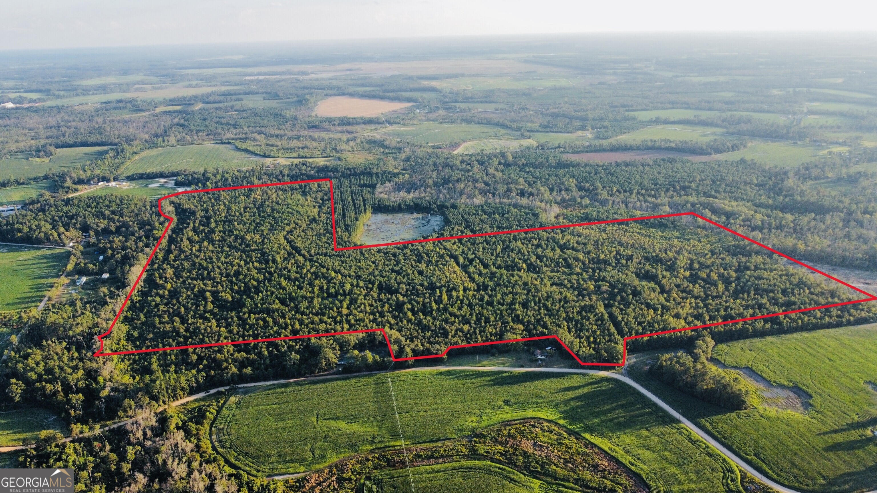 0 Herrington Road Hazlehurst, GA 31539 - Photo 1 of 29 a view of a garden with flowers