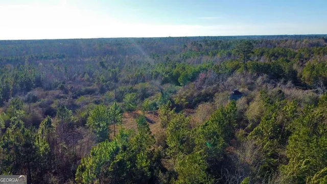 $929,600 | 0 Herrington Road, Hazlehurst, GA 31539