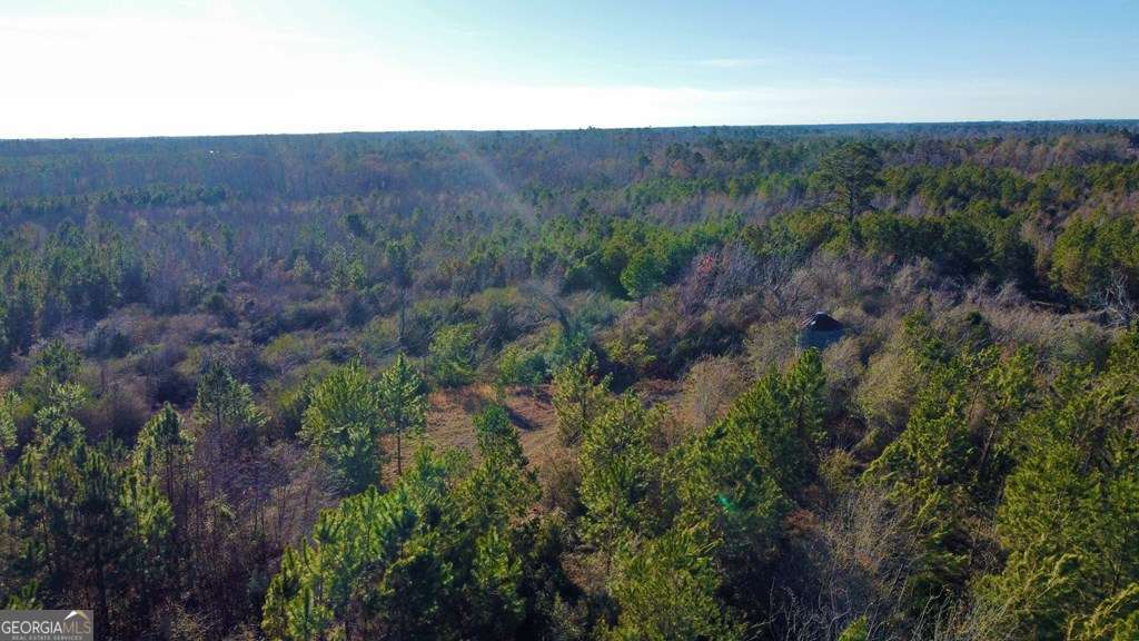 0 Herrington Road Hazlehurst, GA 31539 - Photo 11 of 29 a view of a city with lush green forest