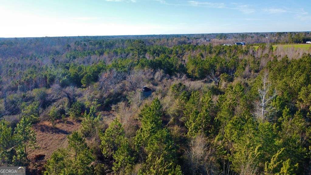 0 Herrington Road Hazlehurst, GA 31539 - Photo 12 of 29 a view of a lush green forest with trees and some houses
