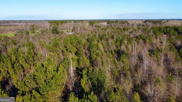 $929,600 | 0 Herrington Road, Hazlehurst, GA 31539