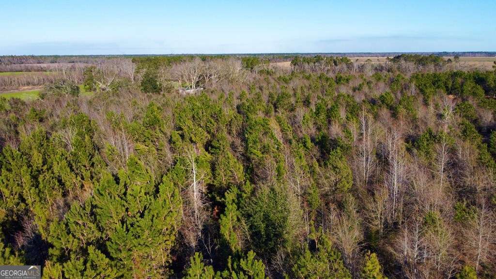 0 Herrington Road Hazlehurst, GA 31539 - Photo 13 of 29 a view of a green field