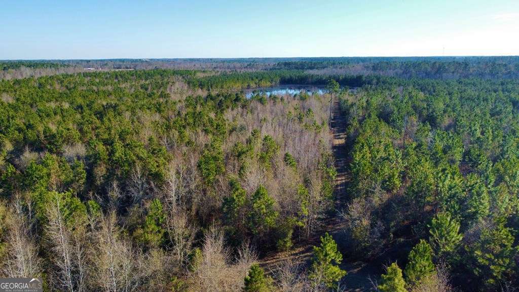 0 Herrington Road Hazlehurst, GA 31539 - Photo 14 of 29 a view of a lush green forest with a lake view