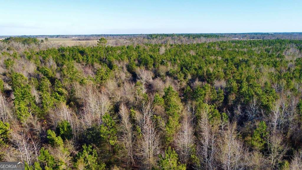0 Herrington Road Hazlehurst, GA 31539 - Photo 15 of 29 a view of a city with lush green forest