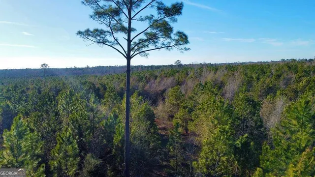 $929,600 | 0 Herrington Road, Hazlehurst, GA 31539