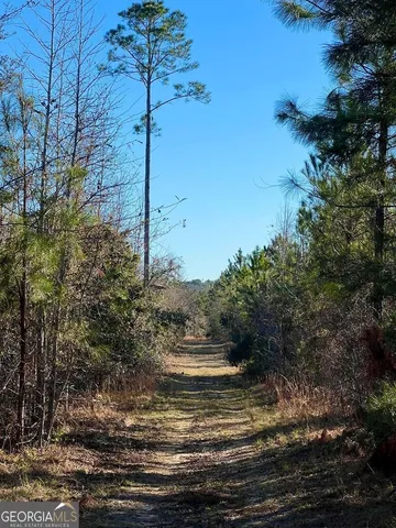 $929,600 | 0 Herrington Road, Hazlehurst, GA 31539