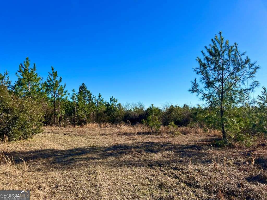 0 Herrington Road Hazlehurst, GA 31539 - Photo 20 of 29 a view of a lake view with a mountain in the background