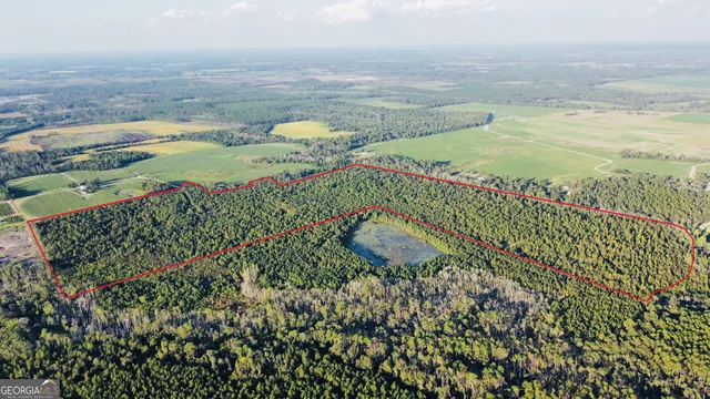 $929,600 | 0 Herrington Road, Hazlehurst, GA 31539