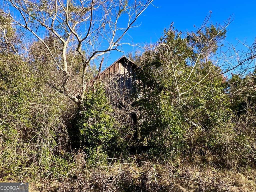 0 Herrington Road Hazlehurst, GA 31539 - Photo 21 of 29 a view of a house with a tree
