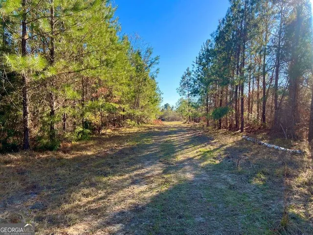 $929,600 | 0 Herrington Road, Hazlehurst, GA 31539