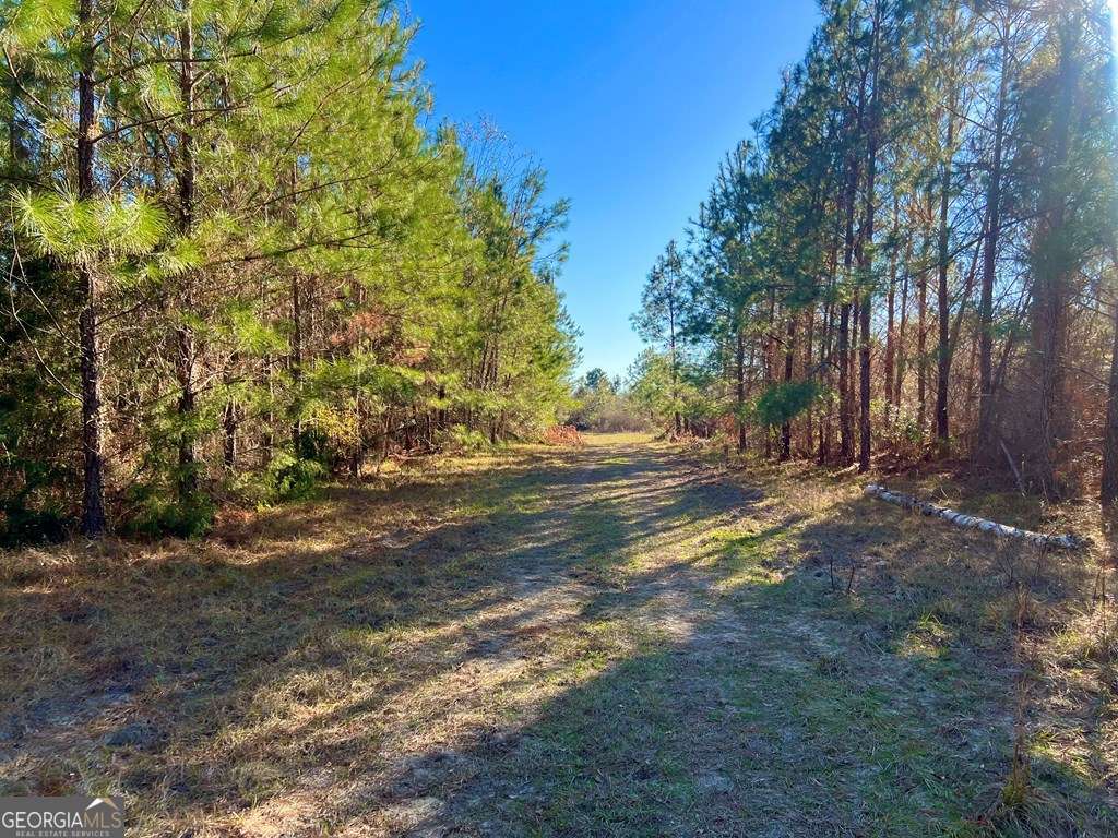 0 Herrington Road Hazlehurst, GA 31539 - Photo 22 of 29 a view of dirt yard with trees