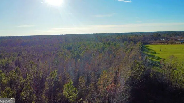 $929,600 | 0 Herrington Road, Hazlehurst, GA 31539