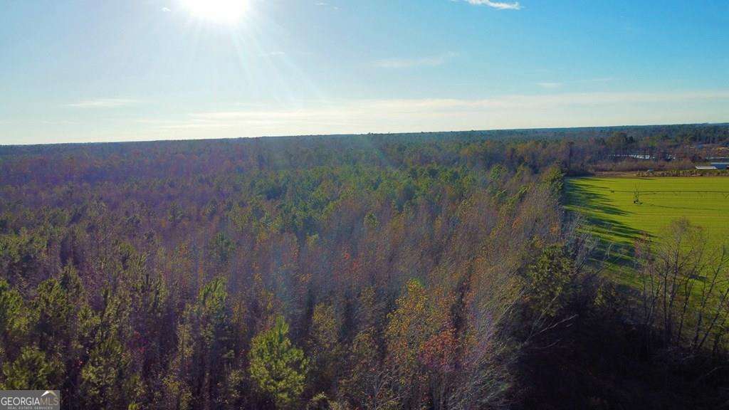 0 Herrington Road Hazlehurst, GA 31539 - Photo 23 of 29 a view of a lush green space with sea