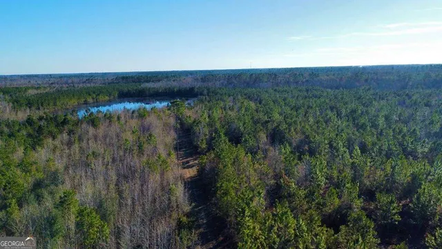 $929,600 | 0 Herrington Road, Hazlehurst, GA 31539