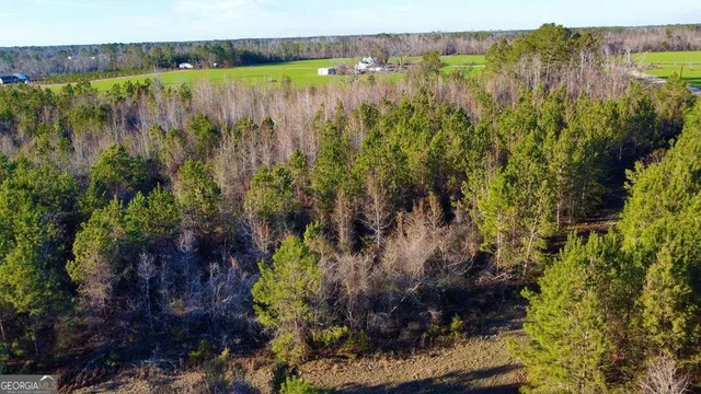 $929,600 | 0 Herrington Road, Hazlehurst, GA 31539