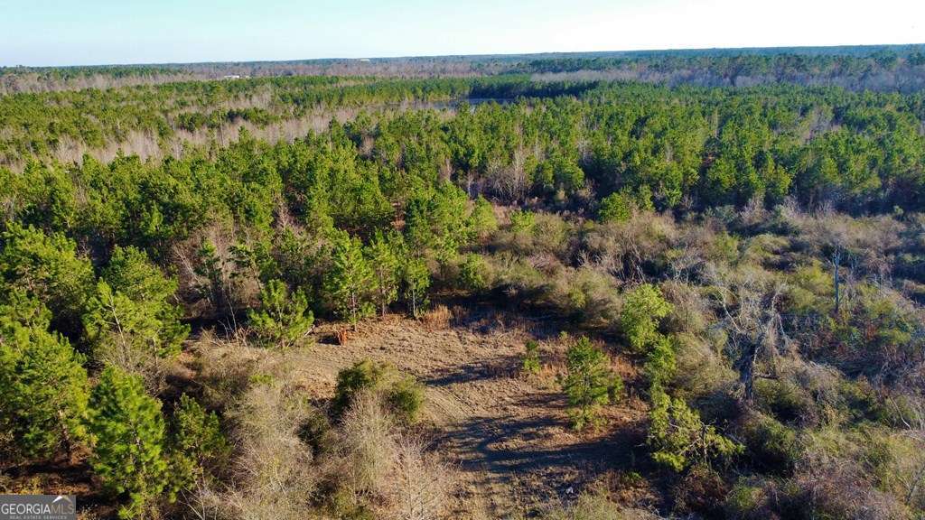 0 Herrington Road Hazlehurst, GA 31539 - Photo 29 of 29 a view of a lush green forest with trees and the houses