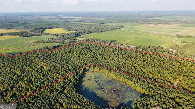 $929,600 | 0 Herrington Road, Hazlehurst, GA 31539