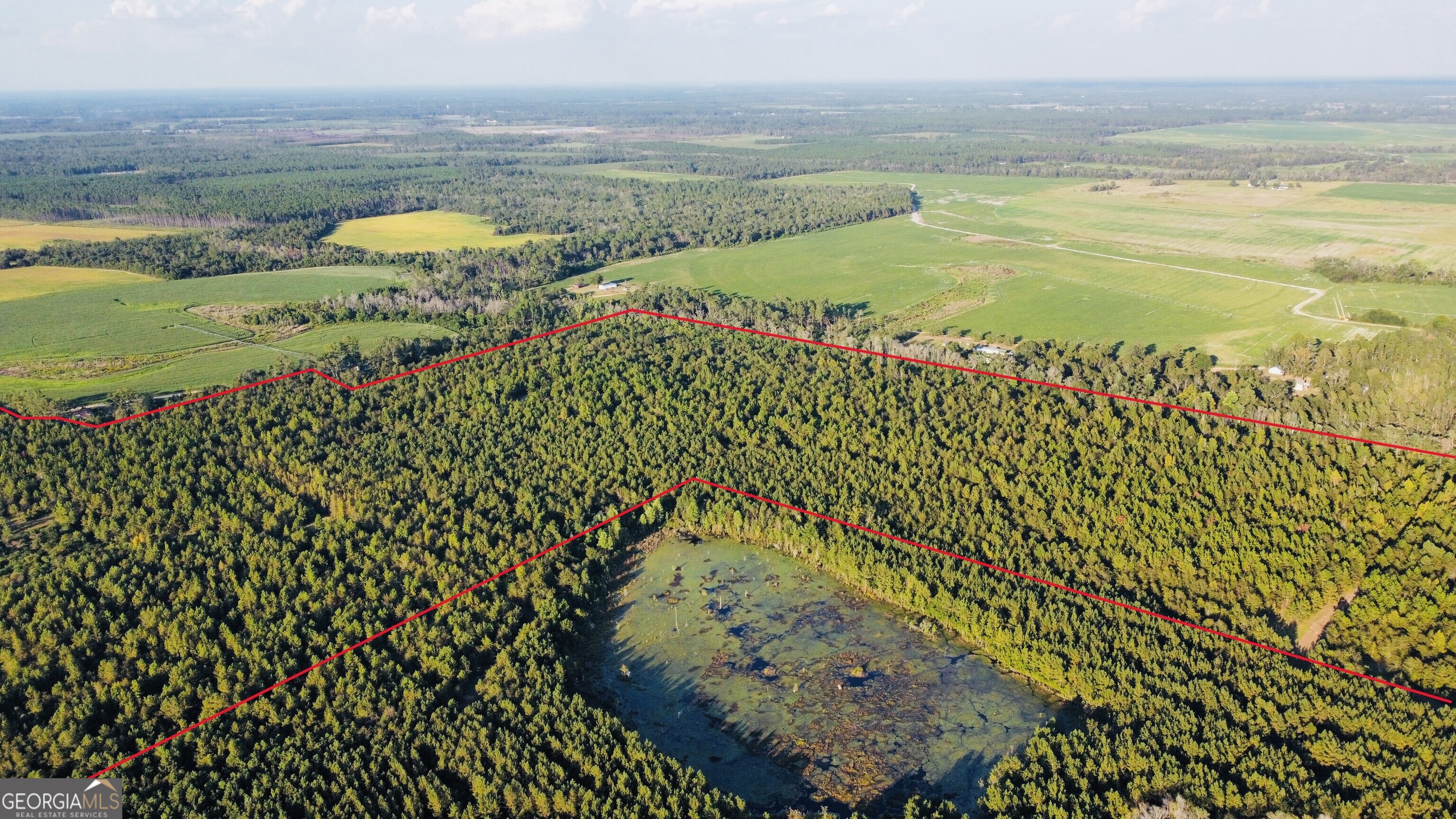 0 Herrington Road Hazlehurst, GA 31539 - Photo 3 of 29 a view of a lake with a big yard