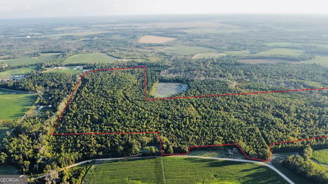 $929,600 | 0 Herrington Road, Hazlehurst, GA 31539