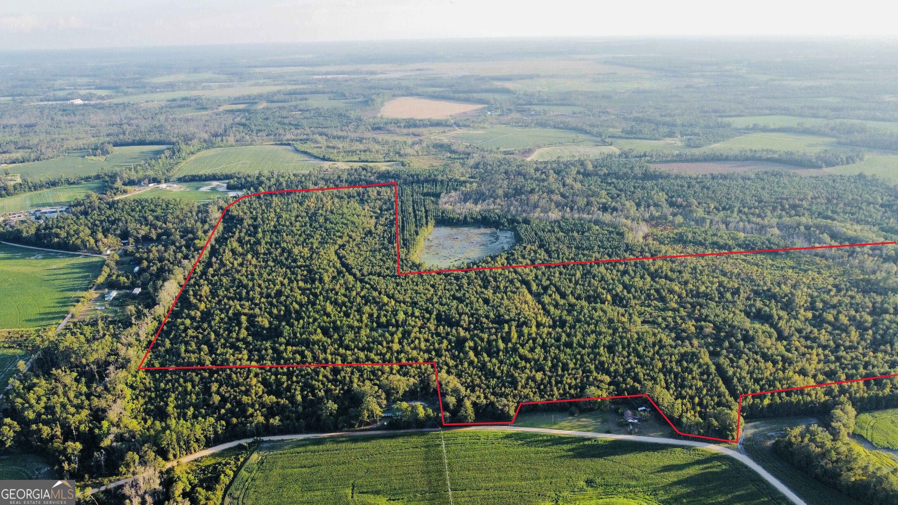 0 Herrington Road Hazlehurst, GA 31539 - Photo 4 of 29 a view of a garden with an ocean view