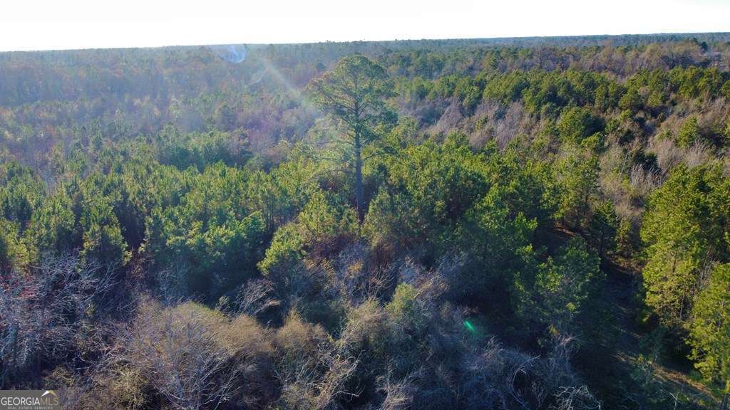 0 Herrington Road Hazlehurst, GA 31539 - Photo 5 of 29 a view of a forest with a forest