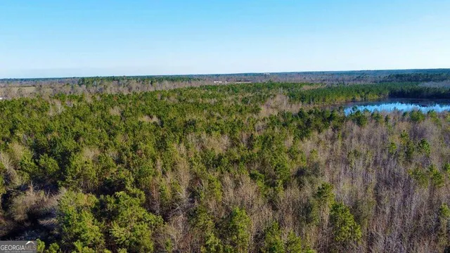 $929,600 | 0 Herrington Road, Hazlehurst, GA 31539