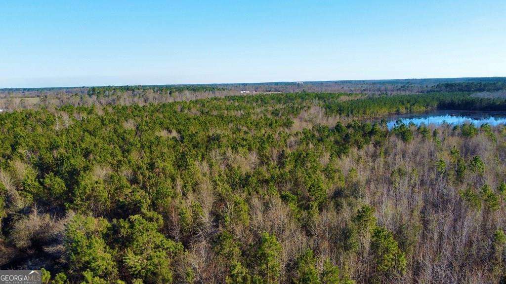 0 Herrington Road Hazlehurst, GA 31539 - Photo 6 of 29 a view of a city with lush green forest