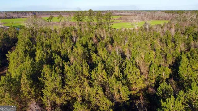 $929,600 | 0 Herrington Road, Hazlehurst, GA 31539