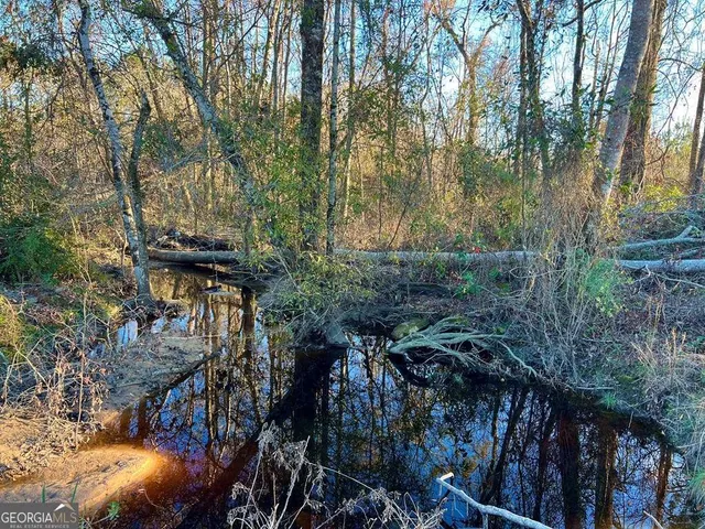 $929,600 | 0 Herrington Road, Hazlehurst, GA 31539