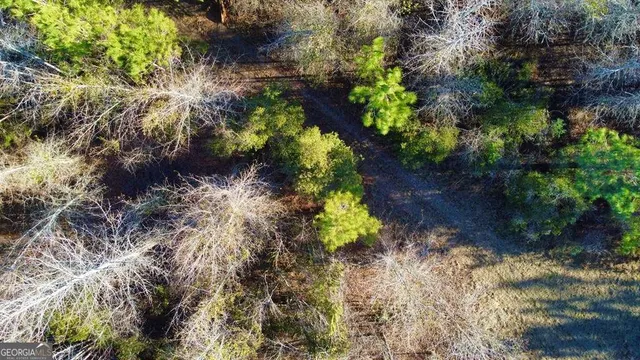 $929,600 | 0 Herrington Road, Hazlehurst, GA 31539