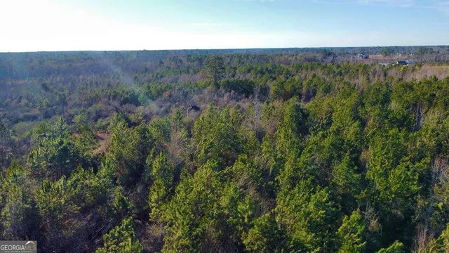 $929,600 | 0 Herrington Road, Hazlehurst, GA 31539